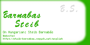 barnabas steib business card